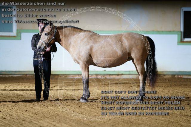 s_K3F08490.JPG
